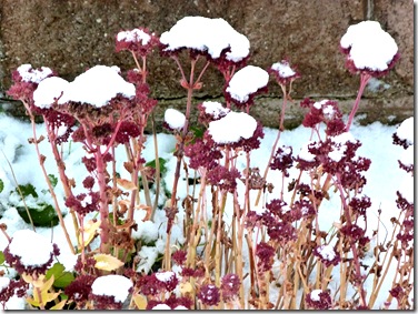 snow 018