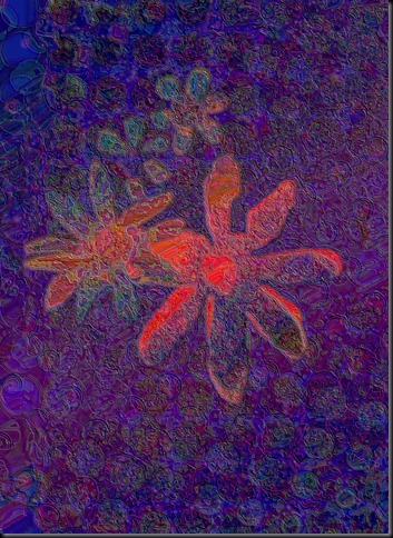flowers2c