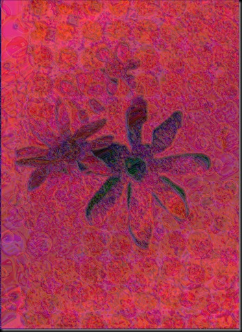 flowers2d