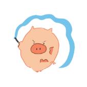 aohaiday.com - Heo con đ&acirc;y