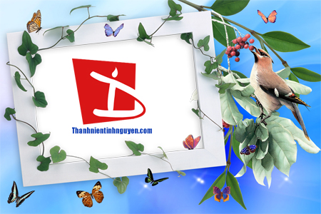 aohaiday.com - Khung hình hoa cỏ...
