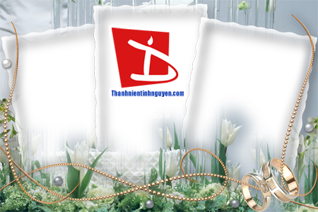 aohaiday.com - Khung hình hoa cỏ...