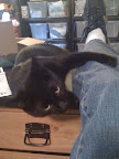 20090629160931.jpg