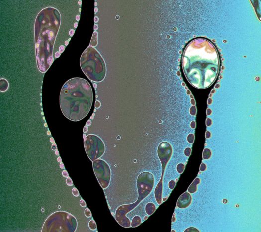 Flow pattern in draining soap film (10x)