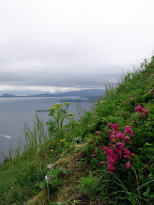 IMG_0060.JPG