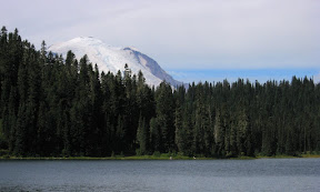 IMG_3382.jpg