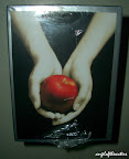  twilight book