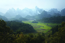 Landscape