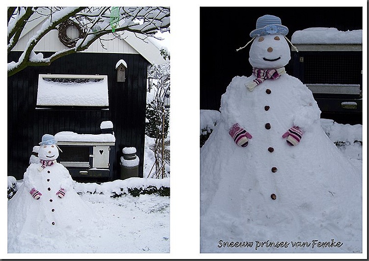 Blogfoto's 1010