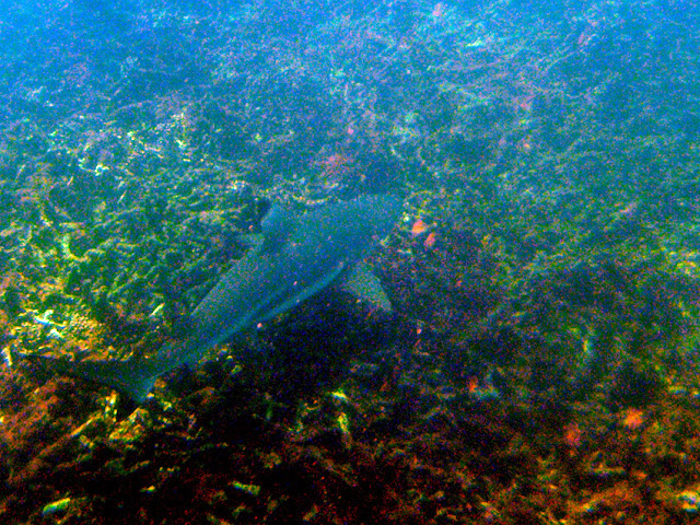 Какое лучшее место на Ко Тао?