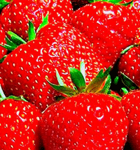 [Strawberry[10].gif]