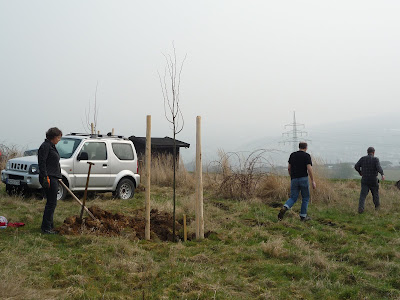 P1020155.JPG
