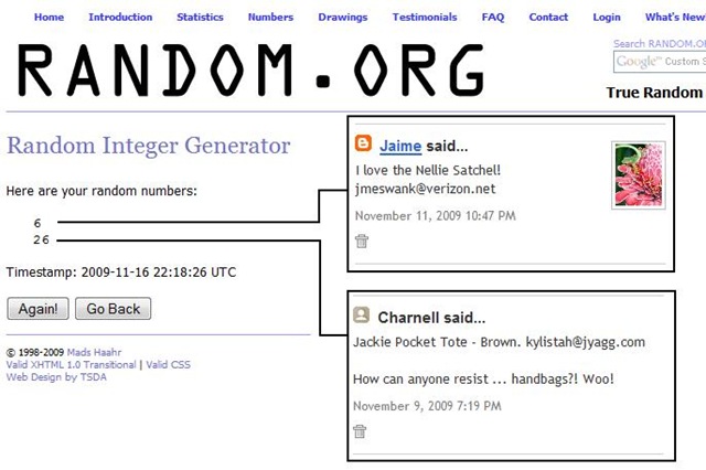 [Handbag Winners[4].jpg]