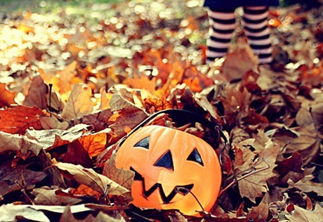 Pumpkin Basket