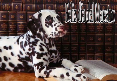 Postales para maestros