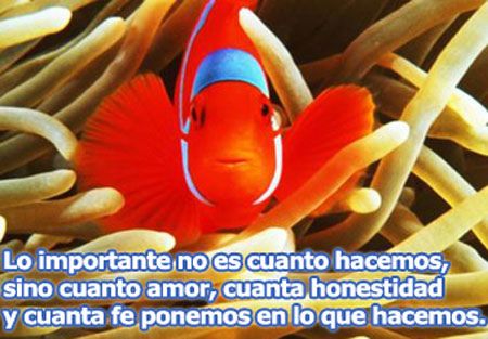 Pensamientos para meditar