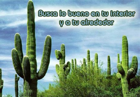 Pensamientos para compartir