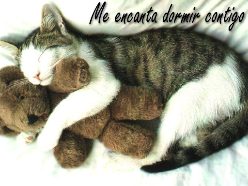 Postales tiernas