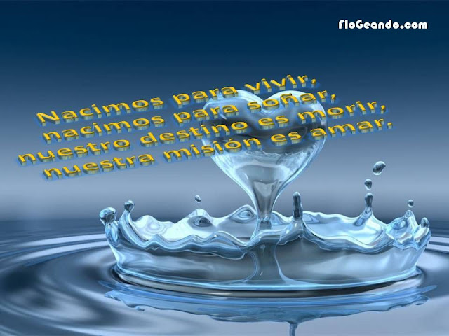 Frases lindas de amor