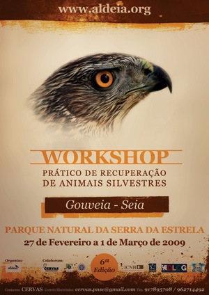 [WorkRecup_VI_300[3].jpg]