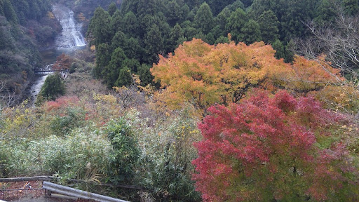 養老保険 の掲示板投稿写真＆画像