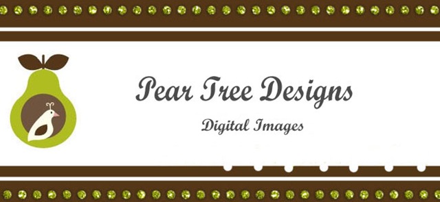 [Pear Tree Digital Image Banner[4].jpg]