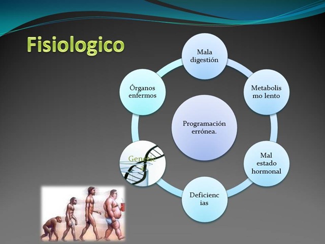 [Diapositiva104.jpg]