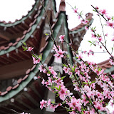 長樂-清明
