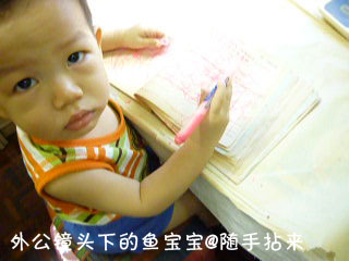 外公镜头下的鱼宝宝