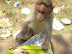 DSC00396.JPG