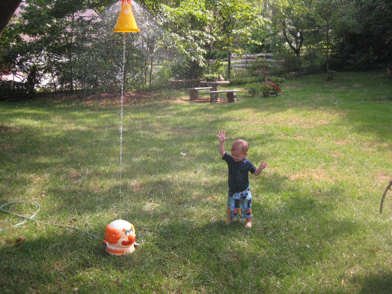 Good times with the clown sprinkler — Shannon Dingle
