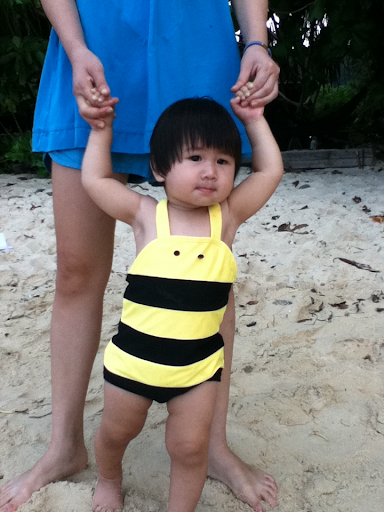 Little bee
