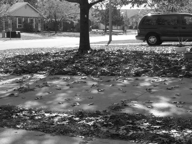[2008_110900012.jpg]