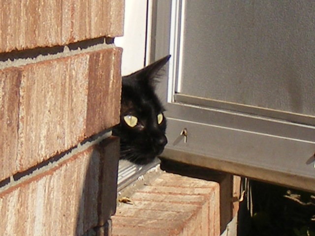 [2008_110900162.jpg]