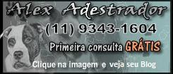 Picassa
