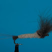 3765731221_c7c7e84f34.jpg