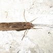 3936011079_14cb071fbb.jpg
