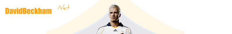 DavidBeckham Net