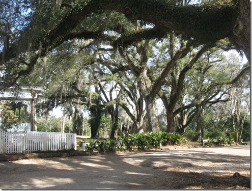 THE MYRTLES 008
