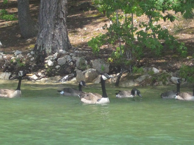 [4thofjuly20100054.jpg]
