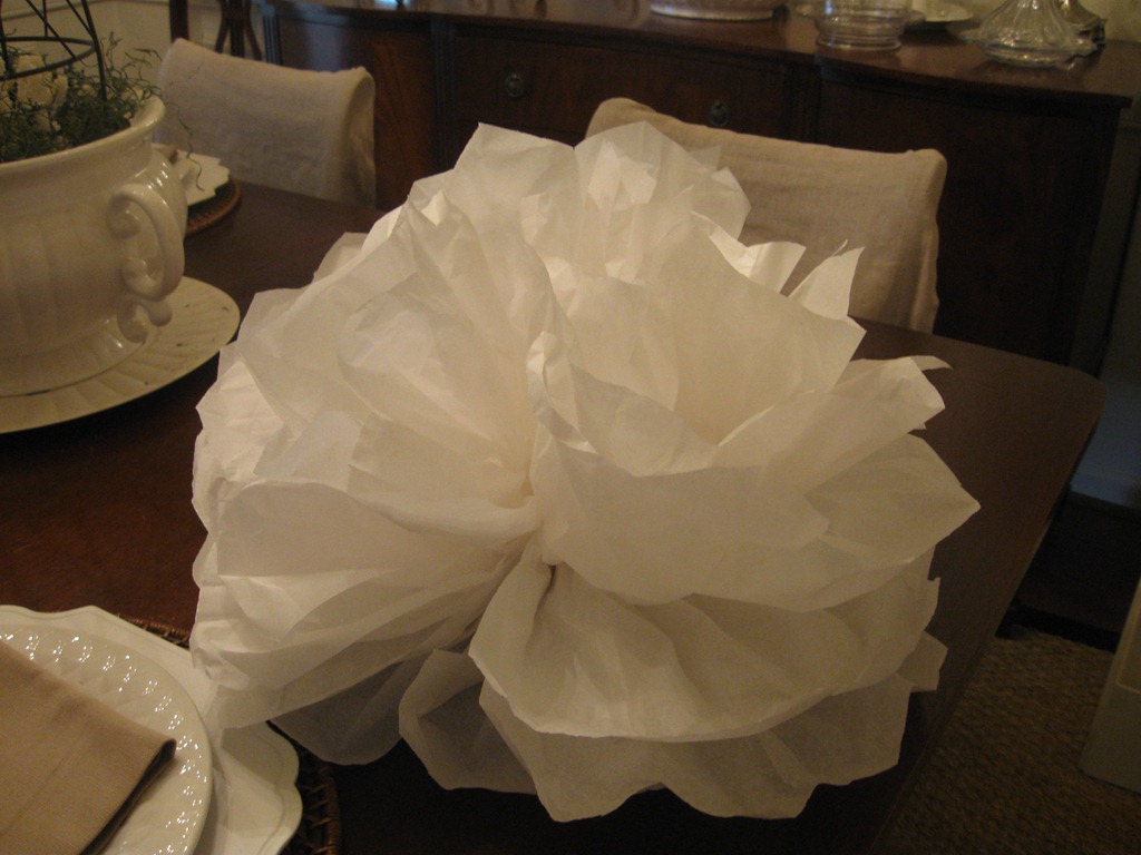 [tissue paper poofs 002[5].jpg]