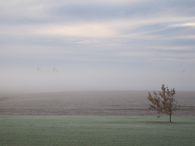 [Foggy morn 10-27-09 (5)[4].jpg]