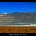 Laguna Colorada, Parque Avaroa. No estará en la expo