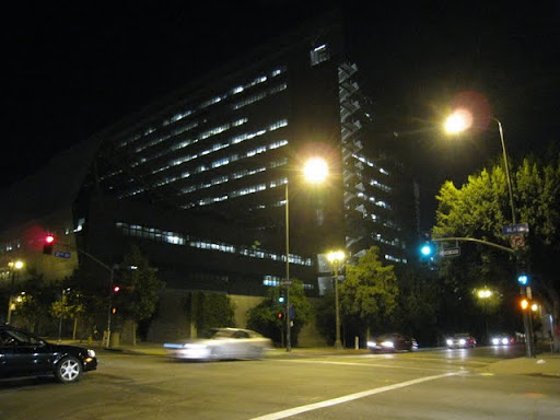 Sleeping+man+under+tree