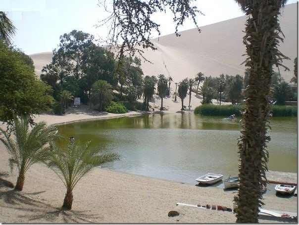 20 most incredible desert oasis9