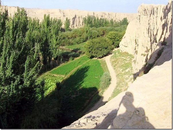 20 most incredible desert oasis11 20 most incredible desert oasis11