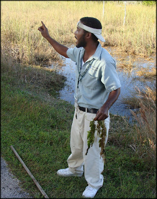 http://lh3.ggpht.com/_kwQNCqCi_5c/SWPECyRcYYI/AAAAAAAAA0M/fefJRVIDHXc/s400/everglades8.JPG