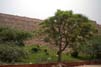 Tughlaqabad Fort Delhi
