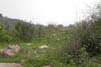 Tughlaqabad Fort Delhi