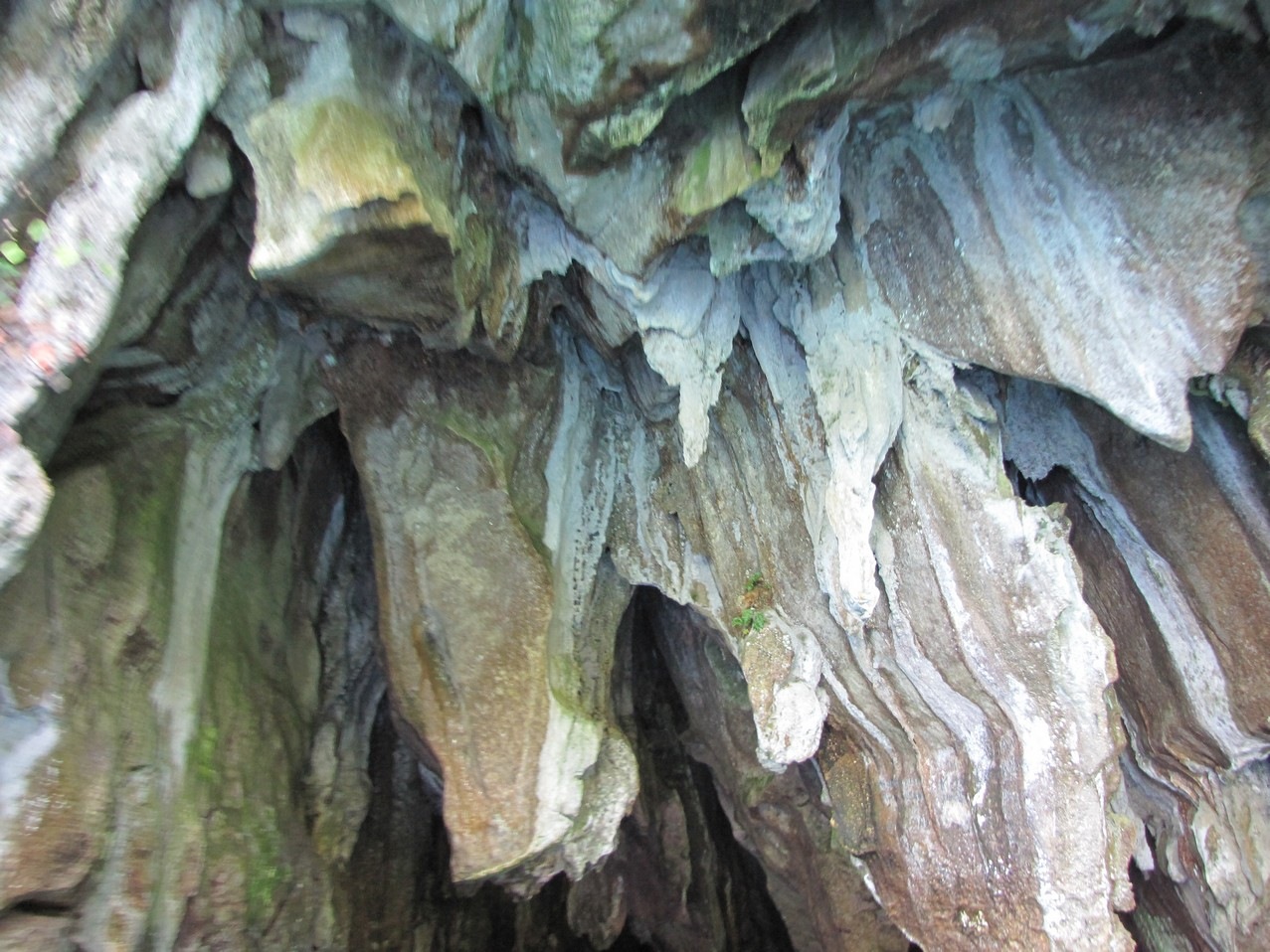 [IMG_83314.jpg]